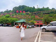 -枇杷园食为鲜火锅(南山店)