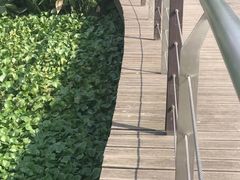 -映月湖中央公园
