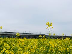 -光明小镇欢乐田园