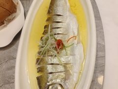 -老绍兴养和饭店(向阳不夜城店)