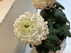 -汇龙潭