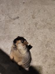 -酷嗒动物文化乐园(cutezoo西溪乐天城店)