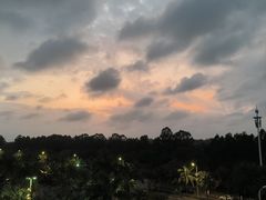 -欢乐海岸美食联盟