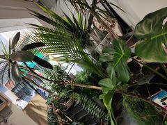 -甲乙果 美术书法(通州校区)