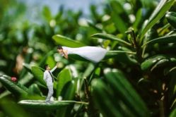 -宿迁台北新娘婚纱摄影