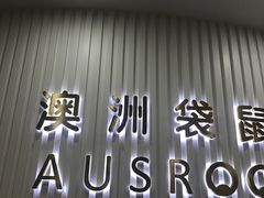 -澳洲袋鼠早教(南二环店)
