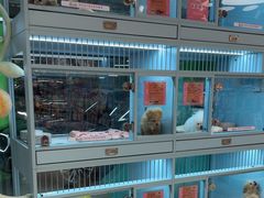 -FAELING PETS美天灵宠物(合生汇店)