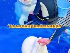 -秦皇岛乐岛海洋王国