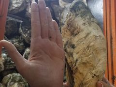 -土蚝·高压锅生蚝(百姓美食街店)