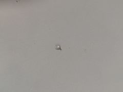-金明姬和众烧烤店(东铁营店)