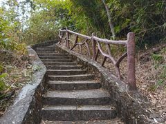 -海南热带雨林国家公园吊罗山景区
