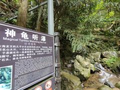 -藏龙百瀑风景区