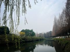 -府河摄影公园