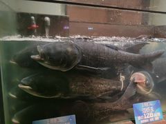 -上名堂·鱼头好吃(体育场路店)