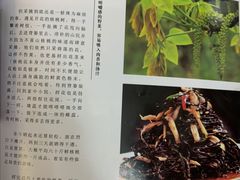 -樱桃创意厨房