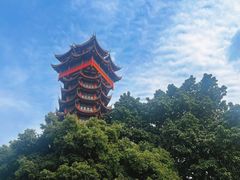 -塔子山公园