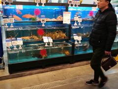 水产区-盒马鲜生(宝地店)