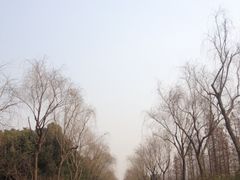 -蜀冈西峰生态公园