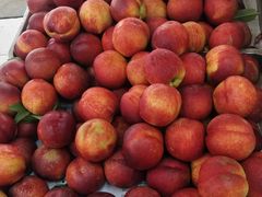 -仲雅水果大卖场(仲雅苑店)