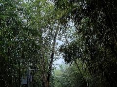 -古堰画乡景区
