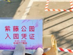-嘉定紫藤园