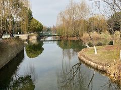 -尚贤河湿地