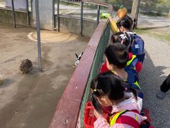 -东方剑桥幼儿园