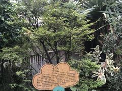 -呀路古热带植物园