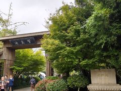 -习家池