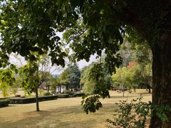 -福建鲤鱼洲酒店