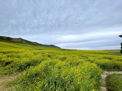 -扁都口生态休闲旅游区