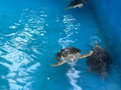 -石家庄市动物园