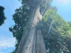 -报恩寺(平武县)