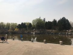 -济南国际园博园