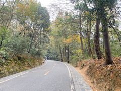 -岳麓山风景名胜区