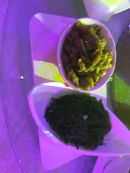 -先锋国际宴会中心(先锋国际广场店)