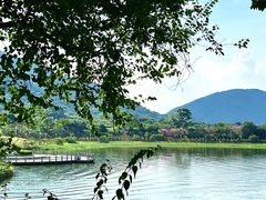 -风云岭森林公园