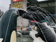 -合肥海洋世界