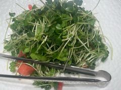 -老城根·潍坊菜(高新店)