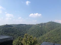 -黄贤森林公园