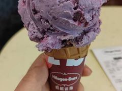 -哈根达斯(石家庄北国店)
