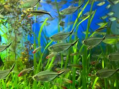 -太平洋海底世界