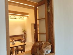 -兮食农场餐厅