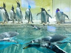 -威海华夏城景区