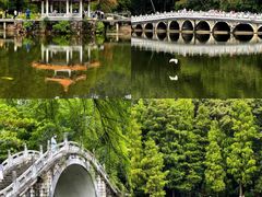 -深圳仙湖植物园