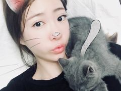 -猫大福·Fortune Cat猫舍(百子湾店)