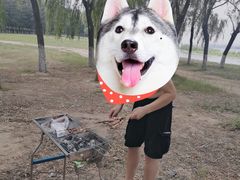 -西青郊野公园