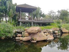 -海珠儿童公园