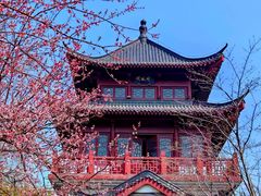 -堤角公园