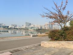-月湖风景区